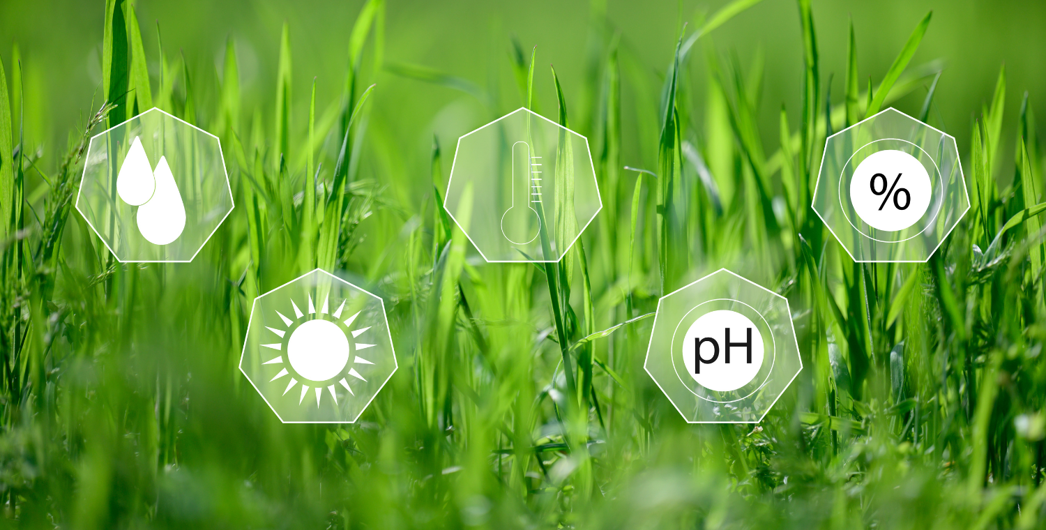 Plara Hydrogel in Vegetable Crops: Safety of Use